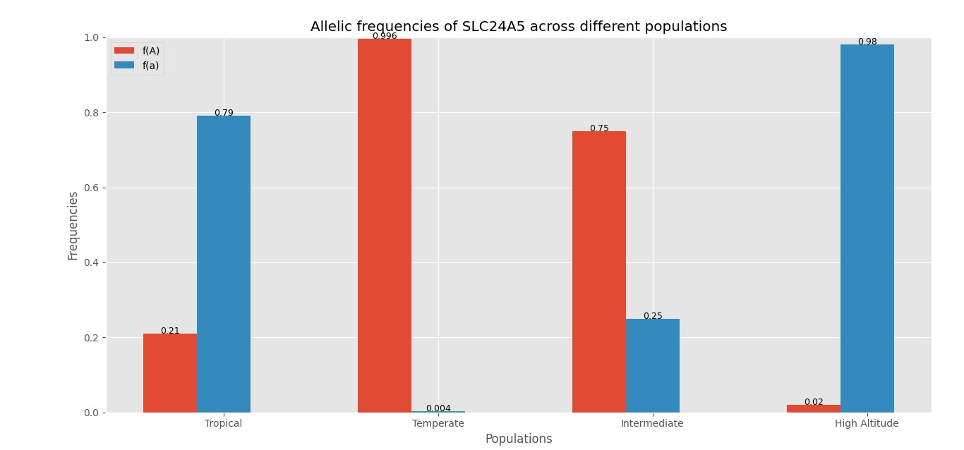 Allele